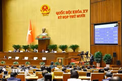 Quốc hội biểu quyết thông qua Luật sửa đổi, bổ sung một số điều của Luật Giáo dục. (Ảnh: Doãn Tấn/TTXVN)
