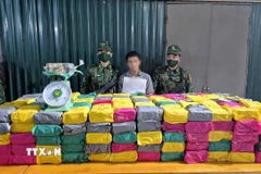 Lực lượng Bộ đội Biên phòng Quảng Trị đấu tranh thành công chuyên án "khủng" về ma túy, thu giữ 500kg ma túy các loại. (Ảnh: TTXVN phát)