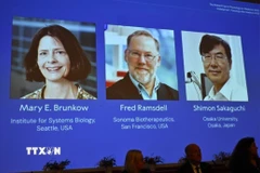 Chân dung các nhà khoa học đoạt giải Nobel Y Sinh năm 2025 (từ trái sang): Mary E Brunkow, Fred Ramsdell và Shimon Sakaguchi. (Ảnh: Reuters/TTXVN)
