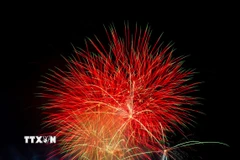 Pháo hoa rực rỡ chào đón năm mới 2026 tại Cầu Cảng Sydney, Australia. (Ảnh: THX/TTXVN)