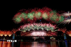 Pháo hoa rực rỡ chào đón năm mới 2026 tại Cầu Cảng Sydney, Australia. (Ảnh: THX/TTXVN)