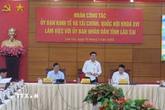 Phó Chủ tịch Quốc hội Nguyễn Hồng Diên phát biểu chỉ đạo tại buổi làm việc. (Ảnh: Hương Thu/TTXVN)