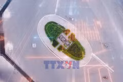 Kinh tế Nhà nước: Từ vai trò chủ đạo đến sức mạnh dẫn dắt