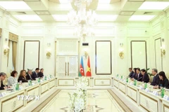 Tổng Bí thư Tô Lâm hội kiến Chủ tịch Quốc hội Azerbaijan Sahiba Gafarova. (Ảnh: Thống Nhất/TTXVN)