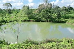 Nơi xảy ra vụ việc thương tâm. (Ảnh: TTXVN phát)