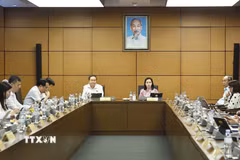 Đại biểu Quốc hội Thành phố Hồ Chí Minh họp tại tổ. (Ảnh: Doãn Tấn/TTXVN)