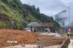 Sạt lở tại khu vực Trạm thu phí BOT trên Quốc lộ 4D, đất đá từ taluy dương tràn xuống gây ảnh hưởng lớn đến giao thông. (Ảnh: TTXVN phát)