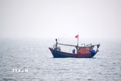 Tàu cá Việt Nam hoạt động trên vùng biển phía Bắc Vịnh Bắc Bộ. (Ảnh: TTXVN phát)
