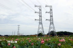 Tuyến đường dây 500kV. (Ảnh: Huy Hùng/TTXVN)