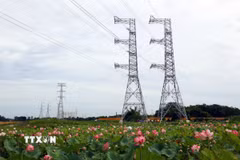 Tuyến đường dây 500kV. (Ảnh: Huy Hùng/TTXVN)