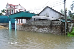 Do nước dâng nhanh, đường dân sinh bị ngập sâu, nhiều nhà dân ở vùng trũng, thấp trên địa bàn tỉnh Nghệ An bị cô lập. (Ảnh: Xuân Tiến/TTXVN)