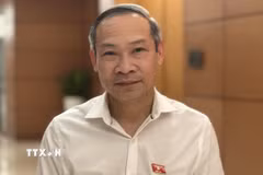 Ông Phan Đức Hiếu, Ủy viên Thường trực Ủy ban Kinh tế của Quốc hội, trả lời phỏng vấn của TTXVN. (Ảnh: Hải Ngọc/TTXVN)
