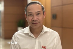 Ông Phan Đức Hiếu, Ủy viên Thường trực Ủy ban Kinh tế của Quốc hội, trả lời phỏng vấn của TTXVN. (Ảnh: Hải Ngọc/TTXVN)