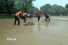 Lực lượng vũ trang dọn dẹp bùn, rác thải tại khu vực đường Lê Lợi ven bờ sông Hương, thành phố Huế khi nước lũ rút. (Ảnh: Đỗ Trưởng/TTXVN)
