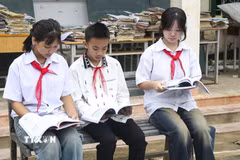 Ảnh minh họa. (Nguồn: TTXVN phát)