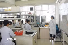 Giờ giảng dạy thực hành tại phòng thí nghiệm tại Trường Đại học Khoa học Sức khoẻ, Đại học Quốc gia Thành phố Hồ Chí Minh. (Ảnh: Thu Hoài/TTXVN)
