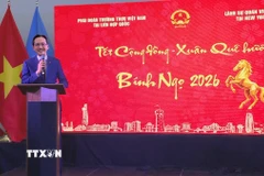 Đại sứ Đỗ Hùng Việt phát biểu chúc Tết. (Ảnh: Lê Hoàng/TTXVN)