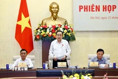 Chủ tịch Quốc hội Trần Thanh Mẫn, Chủ tịch Ủy ban dự thảo sửa đổi, bổ sung một số điều của Hiến pháp năm 2013 phát biểu. (Ảnh: Doãn Tấn/TTXVN)