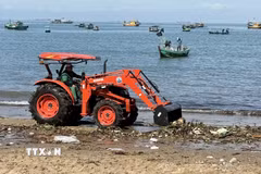 Thu gom rác tại Bãi Trước (Thành phố Hồ Chí Minh). (Ảnh: Đoàn Mạnh Dương/TTXVN)