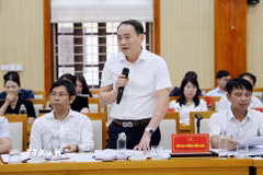 Bí thư Đảng ủy phường Hồng Châu Đặng Văn Diên phát biểu tại hội nghị. (Ảnh: Thế Duyệt/TTXVN)