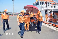 Vận chuyển bệnh nhân lên xe cứu thương. (Ảnh: TTXVN phát)