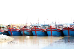 Tàu thuyền neo đậu trong cảng cá Ninh Cơ. (Ảnh: Nguyễn Lành/TTXVN)