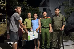 Người dân bàn giao cá thể trăn hoang dã nặng 9kg cho các lực lượng chức năng. (Ảnh: TTXVN phát)