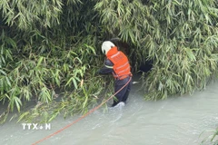 Lực lượng chức năng tỉnh Đồng Nai tìm kiếm chiếc ôtô bị nước cuốn trôi tại khu vực cầu Lộc Lâm. (Ảnh: Lê Xuân/TTXVN)