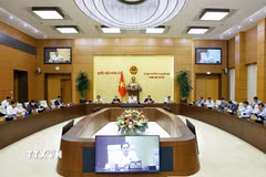 (Ảnh: Doãn Tấn/TTXVN)