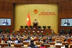 Quang cảnh phiên họp. (Ảnh: Phạm Kiên/TTXVN)