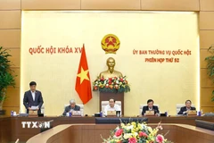 Phó Chủ tịch Quốc hội Vũ Hồng Thanh phát biểu. (Ảnh: Doãn Tấn/TTXVN)