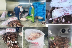 Làm việc với lực lượng chức năng, các chủ hộ thừa nhận đã thu gom số hàng hóa trôi nổi trên thị trường, sau đó sơ chế, phân loại và bán lại cho các tiểu thương, quán phở, quán lẩu, quán nhậu trên địa bàn để tiêu thụ. (Ảnh TTXVN phát)