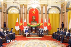 Tổng Bí thư, Chủ tịch nước Tô Lâm hội kiến Thủ tướng Nhật Bản Takaichi Sanae. (Ảnh: Thống Nhất/TTXVN)