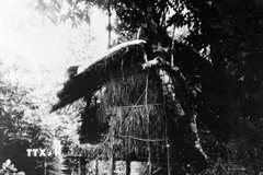 Chỉ 4 tháng sau khi về nước (từ ngày 10/5 đến ngày 19/5/1941), Chủ tịch Hồ Chí Minh đã triệu tập Hội nghị Ban Chấp hành Trung ương lần thứ 8 (khóa I) của Đảng tại Khuổi Nặm, Pác Bó, Cao Bằng, quyết định đặt nhiệm vụ giải phóng dân tộc lên hàng đầu và thành lập Mặt trận Việt Minh. (Ảnh: TTXVN)