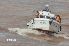 Lực lượng Bộ đội Biên phòng tỉnh Quảng Trị tìm kiếm thi thể thuyền viên trên vùng biển cửa sông Gianh. (Ảnh: Nguyên Linh/TTXVN)
