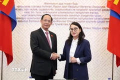 Phó Chủ tịch Quốc Trần Quang Phương tiếp Chủ tịch Nhóm Nghị sỹ hữu nghị Mông Cổ-Việt Nam Judagiin Bayarmaa. (Ảnh: Quang Hưng/TTXVN)