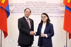 Phó Chủ tịch Quốc Trần Quang Phương tiếp Chủ tịch Nhóm Nghị sỹ hữu nghị Mông Cổ-Việt Nam Judagiin Bayarmaa. (Ảnh: Quang Hưng/TTXVN)