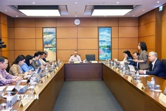 Đoàn đại biểu Quốc hội các tỉnh Bắc Ninh và Cà Mau thảo luận ở tổ. (Ảnh: Doãn Tấn/TTXVN)