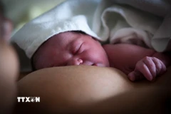 Bé sơ sinh bú sữa mẹ tại bệnh viện ở Ygos-Saint-Saturnin, Pháp. (Ảnh: AFP/TTXVN)