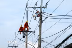 Nâng cấp, sửa chữa lưới điện. (Ảnh: Lê Huy Hải/TTXVN)