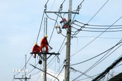 Nâng cấp, sửa chữa lưới điện ở An Giang. (Ảnh: Lê Huy Hải/TTXVN)