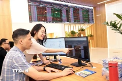 Khách hàng giao dịch chứng khoán. (Ảnh: Trần Việt/TTXVN)