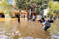 Phóng viên Nguyễn Quang Cường của Thông tấn xã Việt Nam tác nghiệp tại thời điểm cơn bão số 10 năm 2025 gây ảnh hưởng. (Ảnh: TTXVN)
