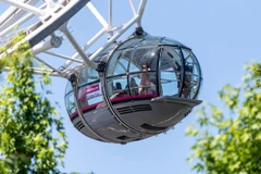Du khách bên trong một cabin kính của vòng quay London Eye tại thủ đô London, Anh. (Ảnh: THX/TTXVN)