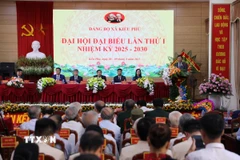 Ủy viên Ban Thường vụ Thành ủy, Trưởng Ban Nội chính Đỗ Anh Tuấn phát biểu chỉ đạo Đại hội. (Ảnh: Quốc Lũy/TTXVN)