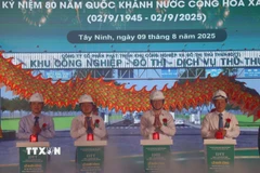 Các đại biểu thực hiện nghi thức khởi công dự án. (Ảnh: Thanh Bình/TTXVN)