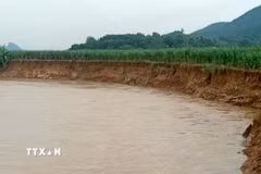 Sạt lở bờ sông ở Thanh Hóa. (Ảnh minh họa. Nguồn: TTXVN)