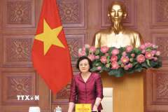 Phó Thủ tướng Phạm Thị Thanh Trà, Trưởng Ban Chỉ đạo phát biểu chỉ đạo. (Ảnh: Lâm Khánh/TTXVN)