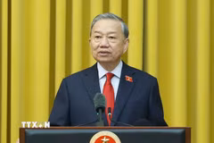 Tổng Bí thư, Chủ tịch nước Tô Lâm. (Ảnh: Thống Nhất/TTXVN)