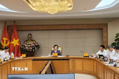 Quang cảnh cuộc họp. (Ảnh: Chu Thanh Vân/TTXVN)